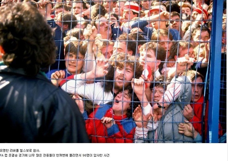 포스트의 이미지