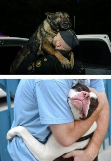 포스트의 이미지