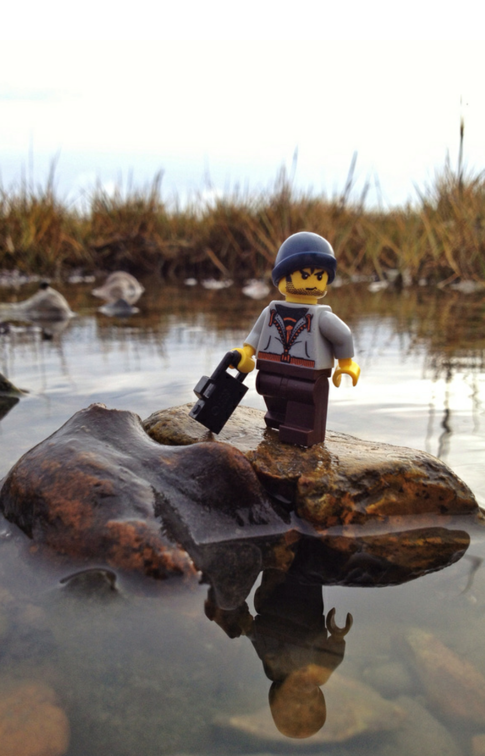 포스트의 이미지