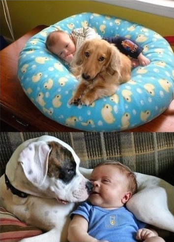 포스트의 이미지