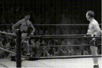 포스트의 이미지