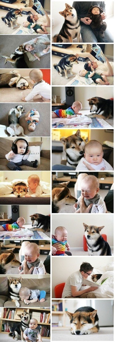 포스트의 이미지