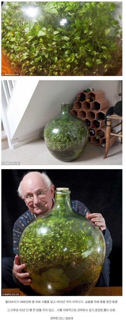 포스트의 이미지