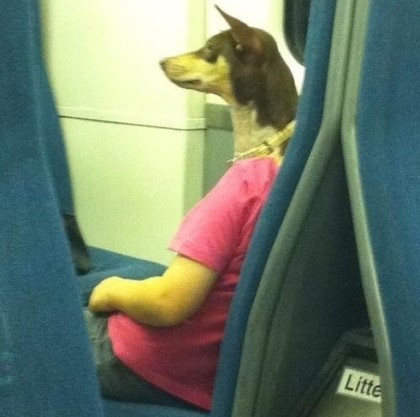 포스트의 이미지