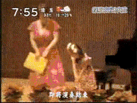 포스트의 이미지