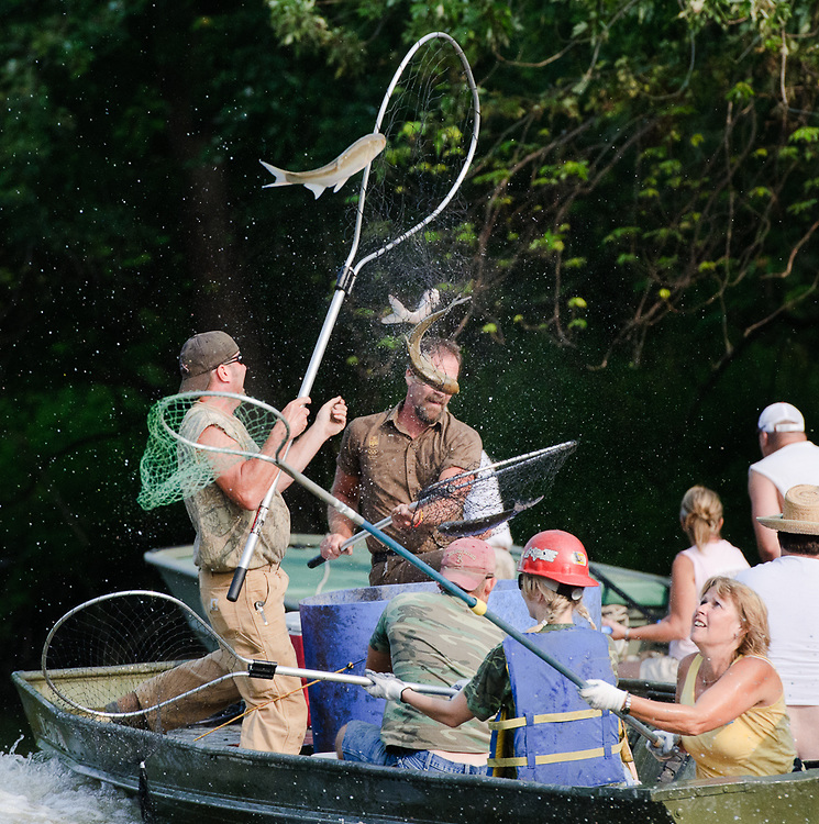 포스트의 이미지