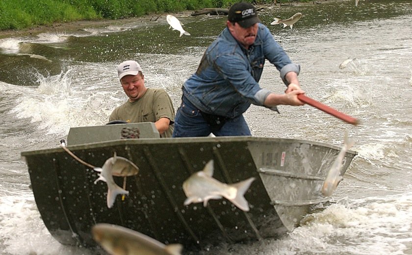 포스트의 이미지