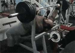 포스트의 이미지