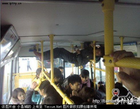 포스트의 이미지