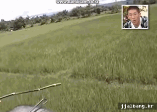 포스트의 이미지