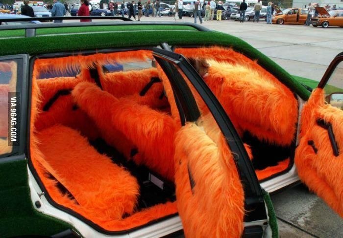 포스트의 이미지