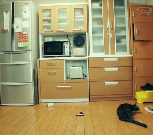 포스트의 이미지