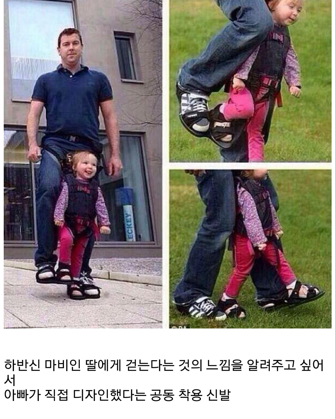 포스트의 이미지