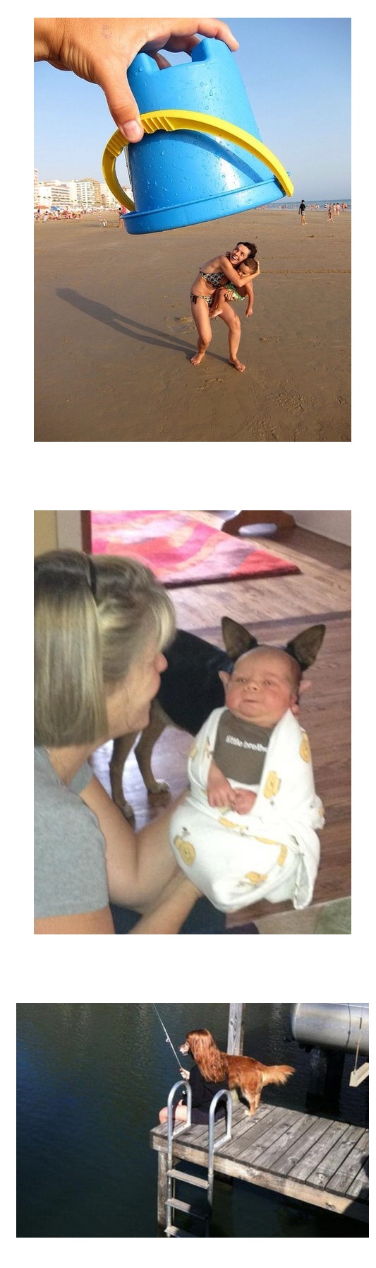 포스트의 이미지