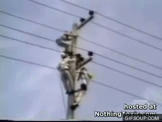 포스트의 이미지