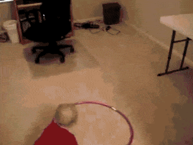 포스트의 이미지