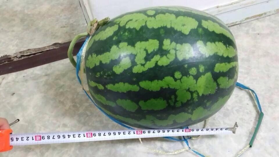 포스트의 이미지