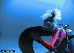 포스트의 이미지