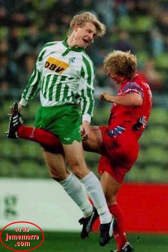 포스트의 이미지