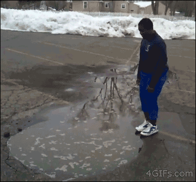 포스트의 이미지