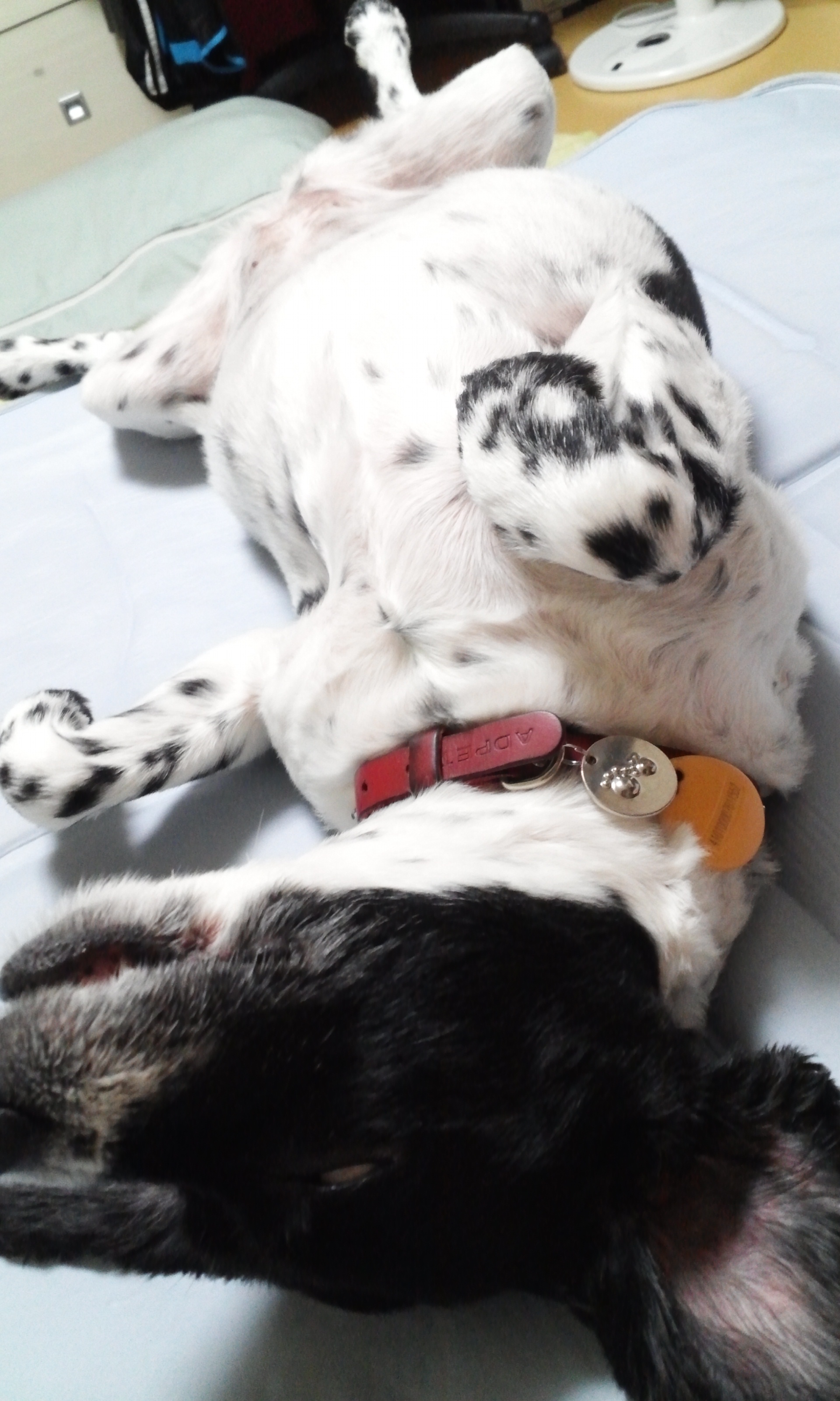 포스트의 이미지