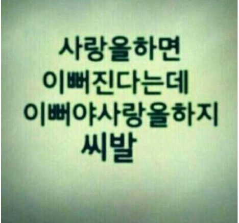 포스트의 이미지