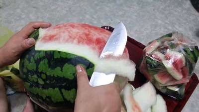 포스트의 이미지