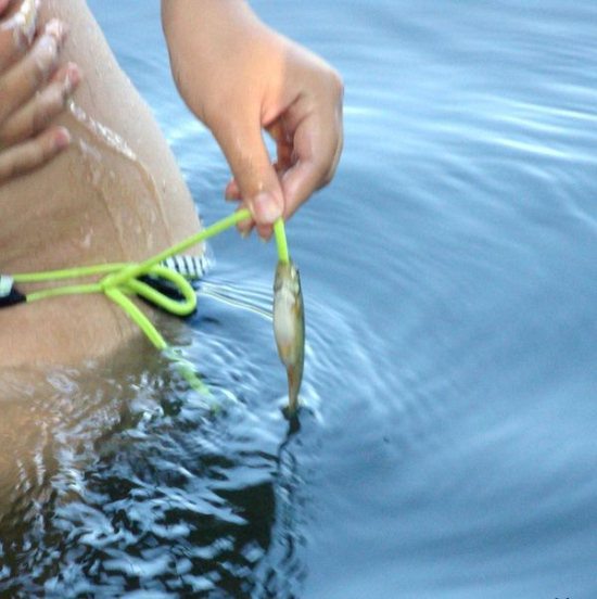 포스트의 이미지