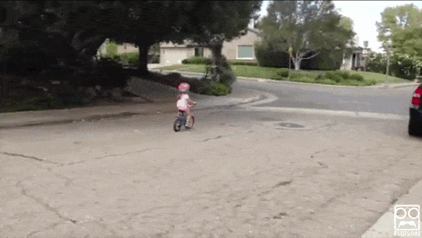 포스트의 이미지