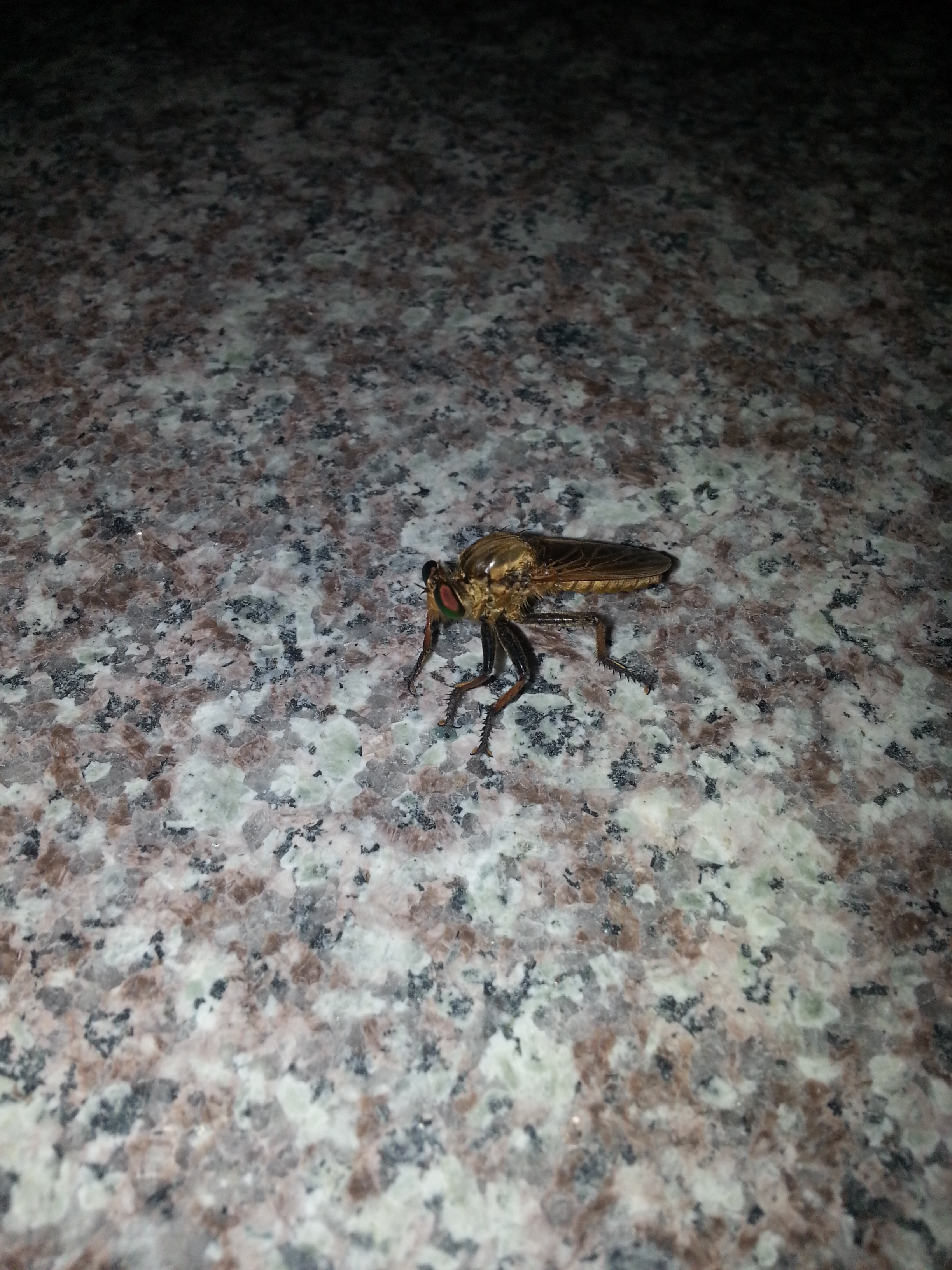 포스트의 이미지