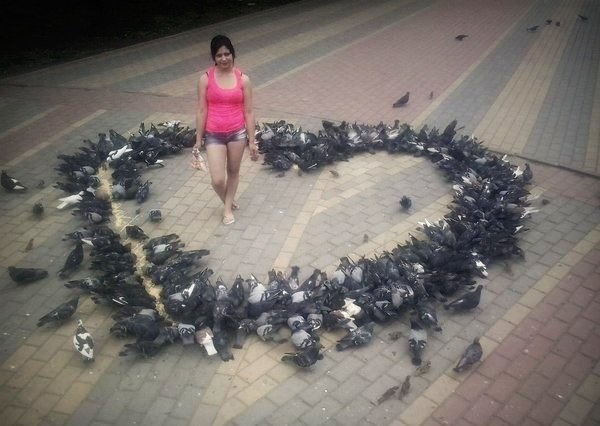 포스트의 이미지