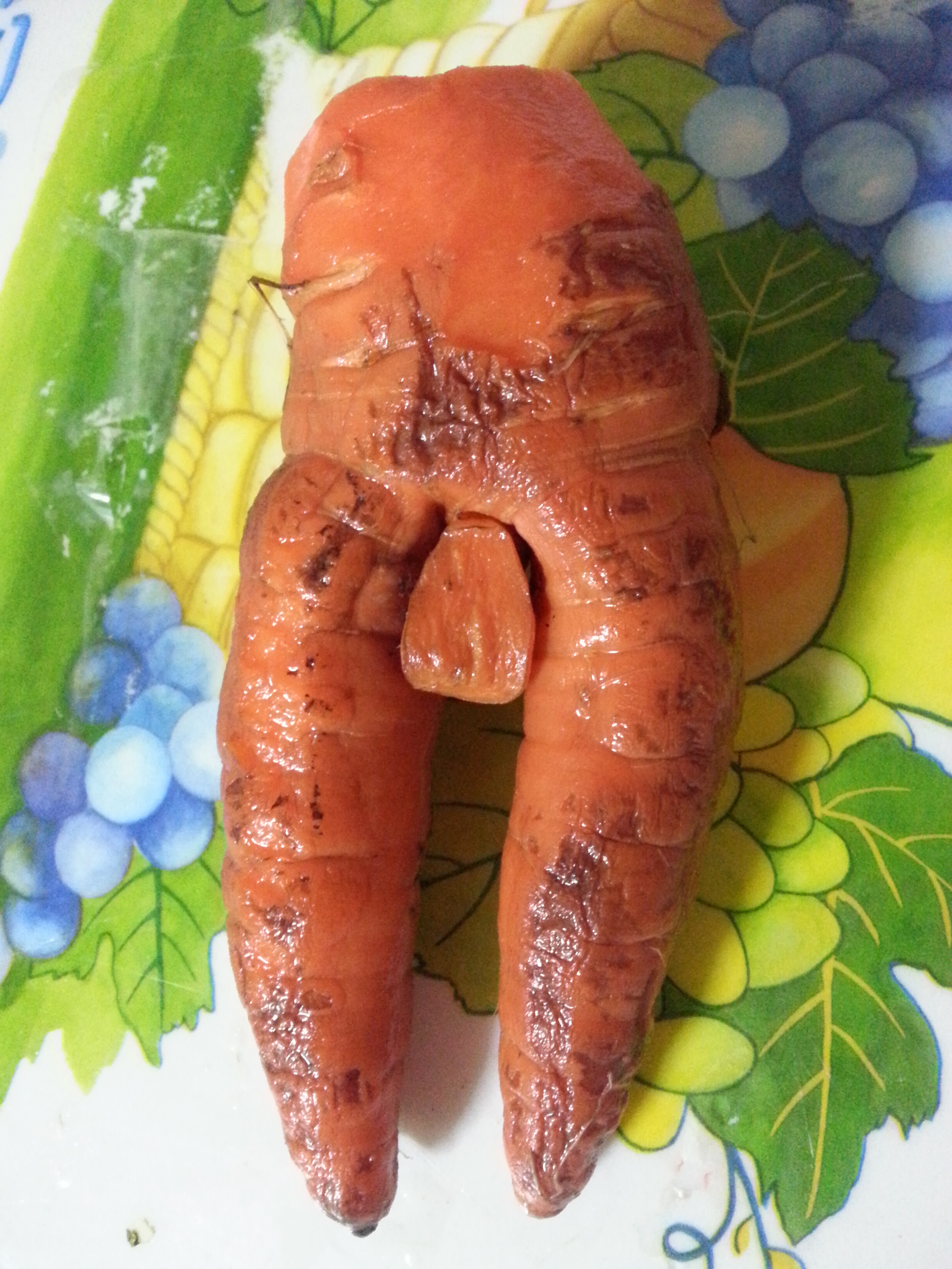 포스트의 이미지