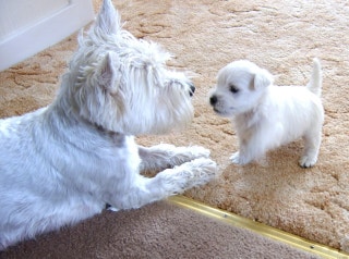 포스트의 이미지