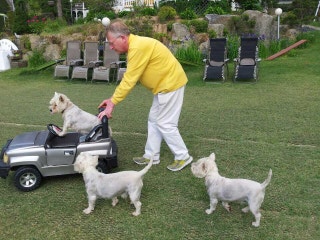 포스트의 이미지