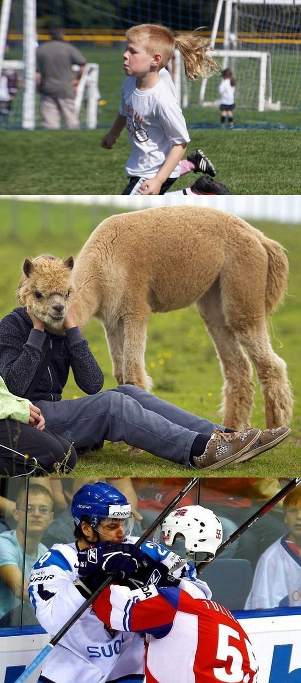 포스트의 이미지