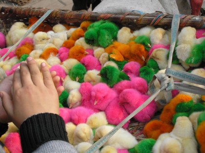 포스트의 이미지