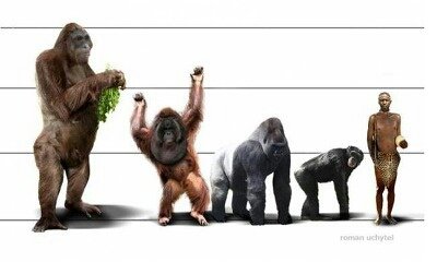 포스트의 이미지