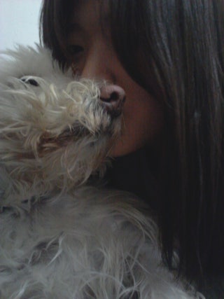 포스트의 이미지