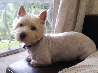 포스트의 이미지