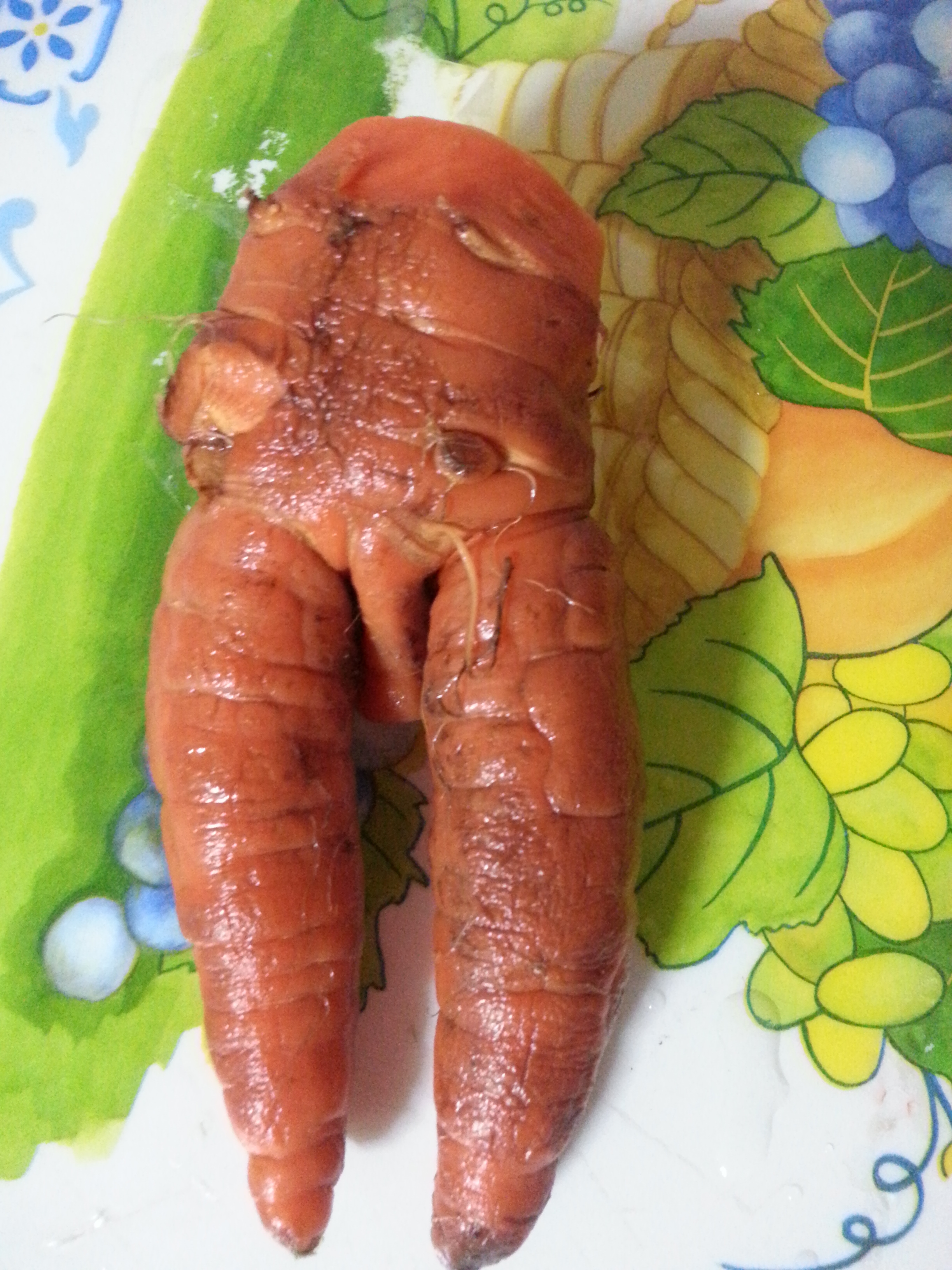 포스트의 이미지