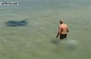 포스트의 이미지