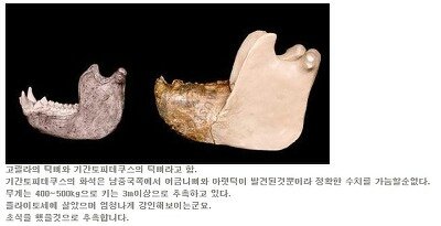 포스트의 이미지