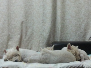 포스트의 이미지