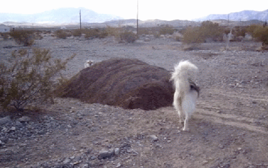 포스트의 이미지