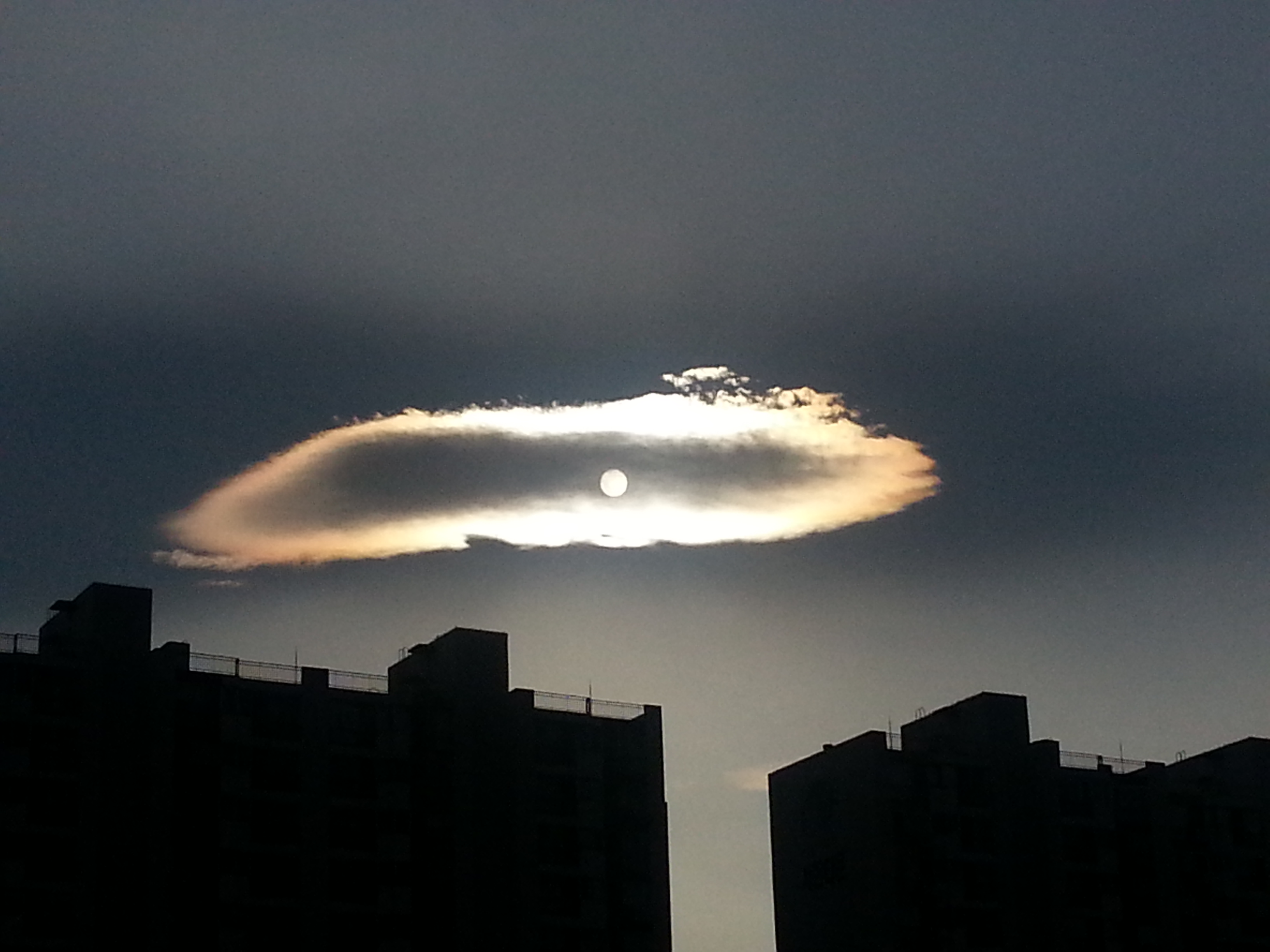 포스트의 이미지