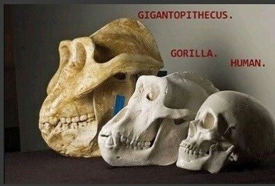 포스트의 이미지