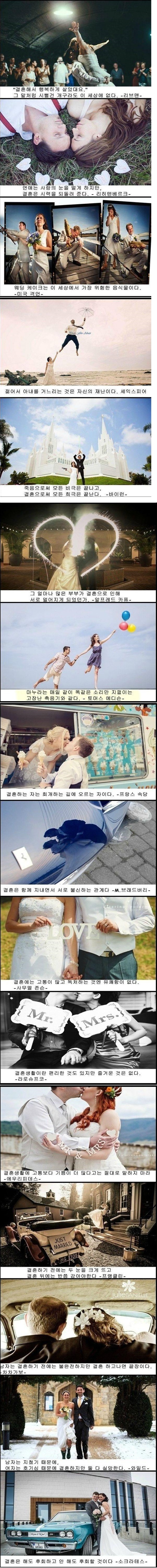 포스트의 이미지