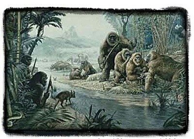 포스트의 이미지