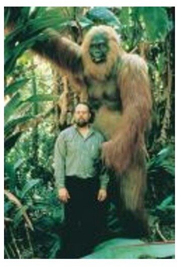 포스트의 이미지