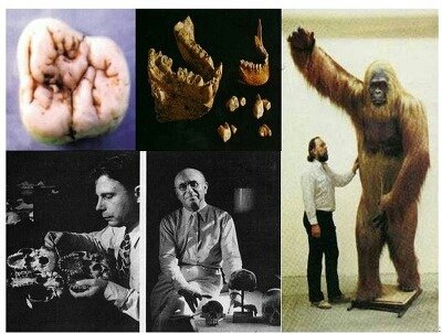 포스트의 이미지